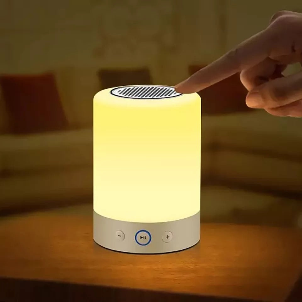 FM Music Lamp